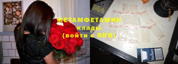прущие грибы Балабаново