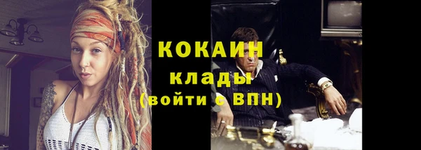 прущие грибы Балабаново