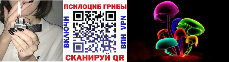 цены   Нижняя Тура  Псилоцибиновые грибы MAGIC MUSHROOMS 