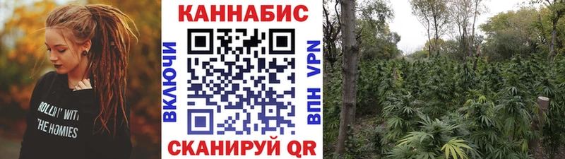 Каннабис MAZAR  Нижняя Тура 